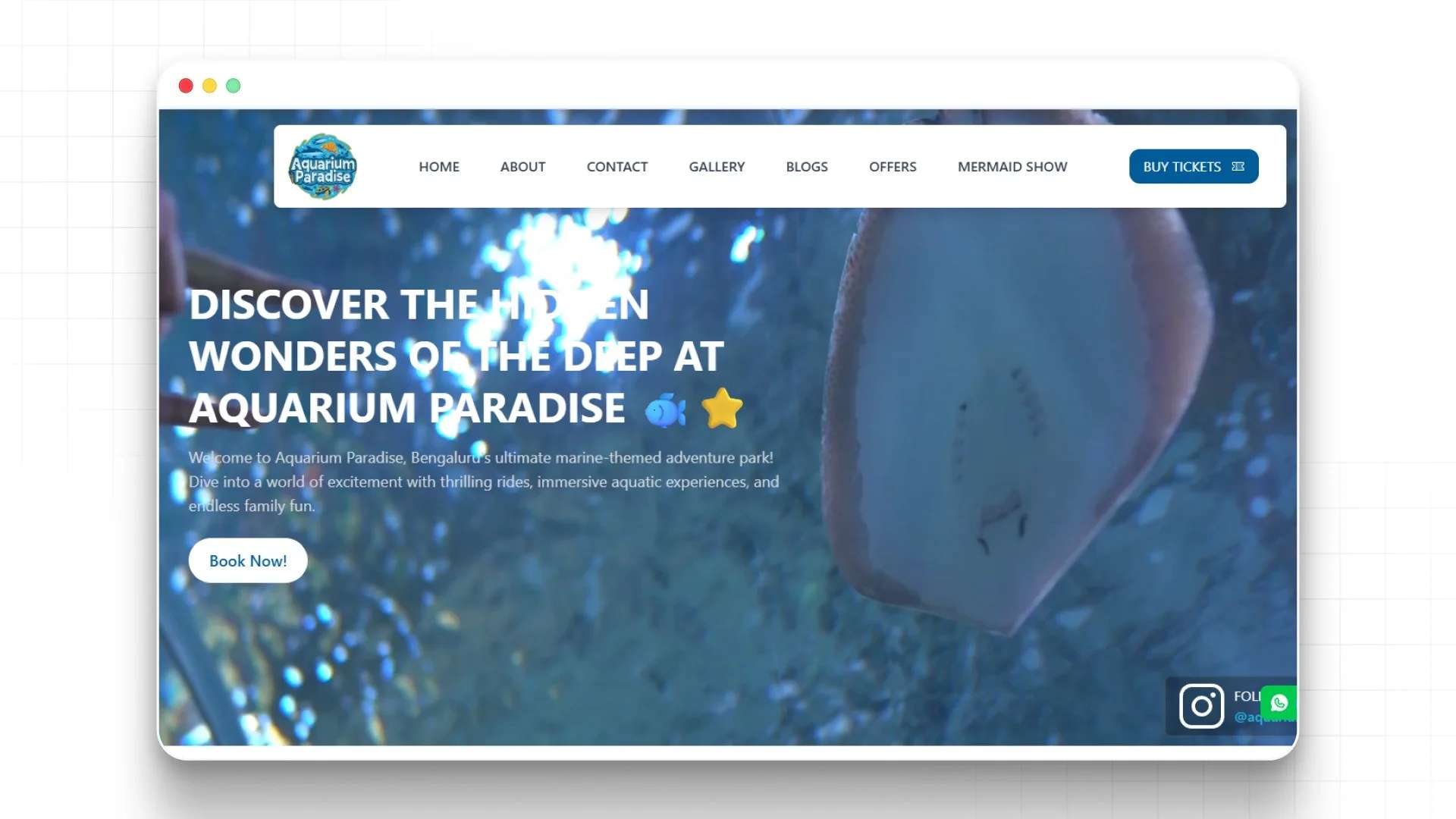 What to Expect at Aquarium Paradise, Bengaluru: A Unique Marine Experience